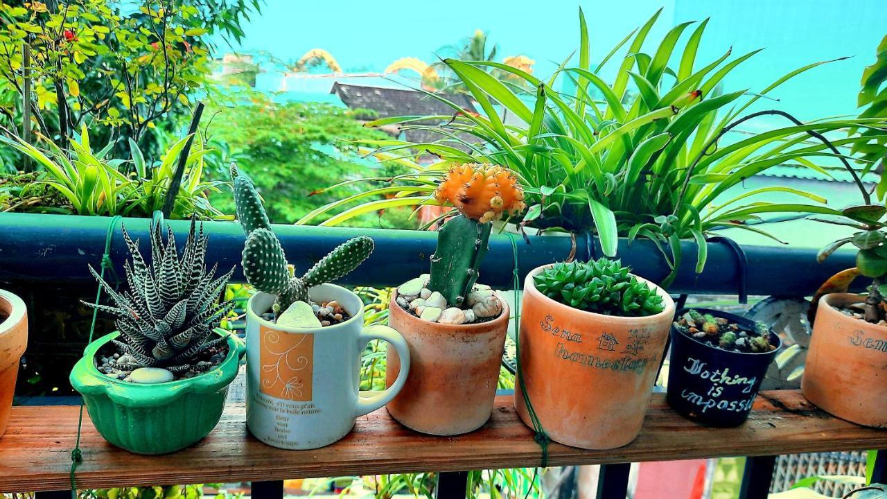Sena Home 2Nd*Near Danang Han River*Dragon Bridge Da Nang Exterior foto